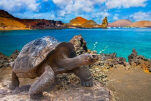 Quito y Galápagos básico | 5 noches / 6 días